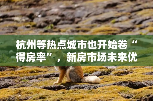 杭州等热点城市也开始卷“得房率”，新房市场未来优势更明显
