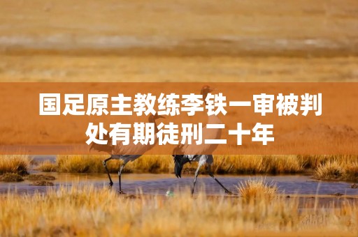 国足原主教练李铁一审被判处有期徒刑二十年