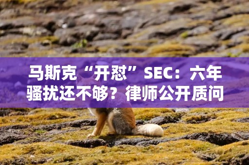 马斯克“开怼”SEC：六年骚扰还不够？律师公开质问幕后黑手