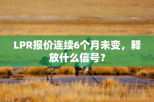 LPR报价连续6个月未变，释放什么信号？