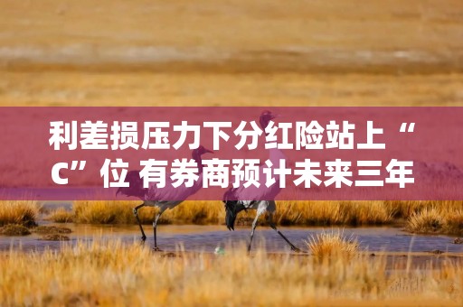 利差损压力下分红险站上“C”位 有券商预计未来三年增量或超1.8万亿元