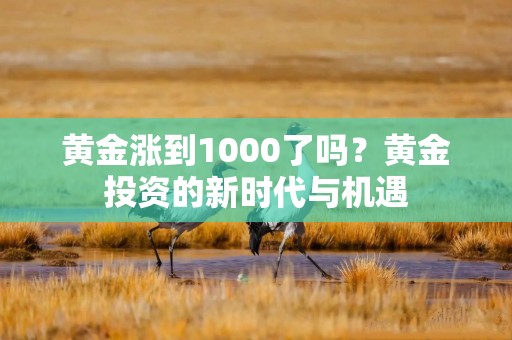 黄金涨到1000了吗？黄金投资的新时代与机遇