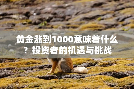 黄金涨到1000意味着什么？投资者的机遇与挑战
