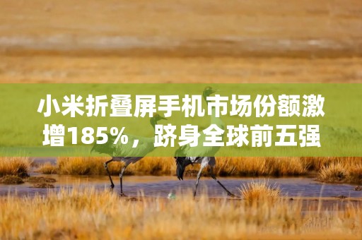 小米折叠屏手机市场份额激增185%，跻身全球前五强
