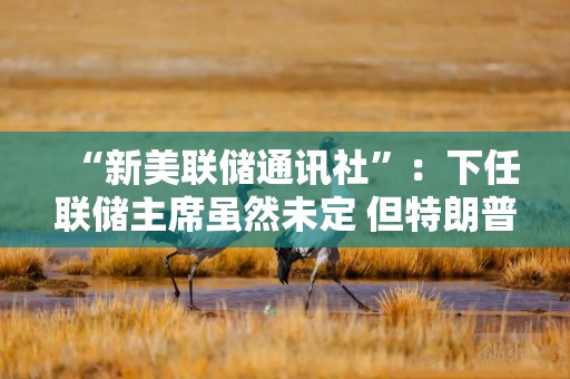 “新美联储通讯社”：下任联储主席虽然未定 但特朗普已让其“信誉扫地”