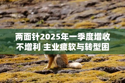 两面针2025年一季度增收不增利 主业疲软与转型困境下亏损放大
