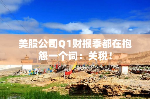 美股公司Q1财报季都在抱怨一个词：关税！