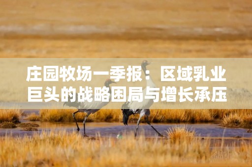 庄园牧场一季报：区域乳业巨头的战略困局与增长承压
