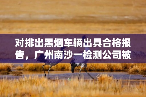 对排出黑烟车辆出具合格报告，广州南沙一检测公司被罚十万元