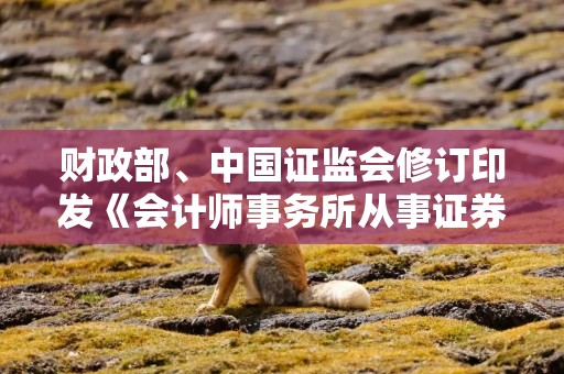 财政部、中国证监会修订印发《会计师事务所从事证券服务业务备案管理办法》