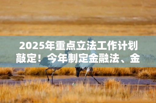 2025年重点立法工作计划敲定！今年制定金融法、金融稳定法！