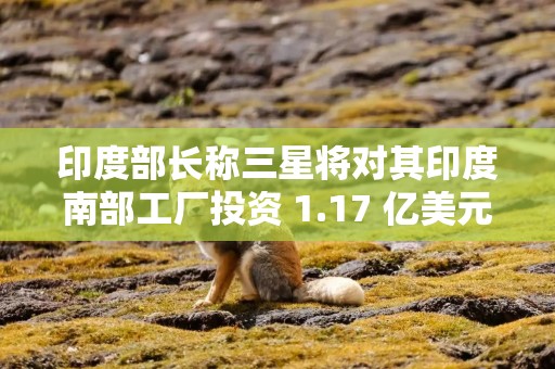 印度部长称三星将对其印度南部工厂投资 1.17 亿美元