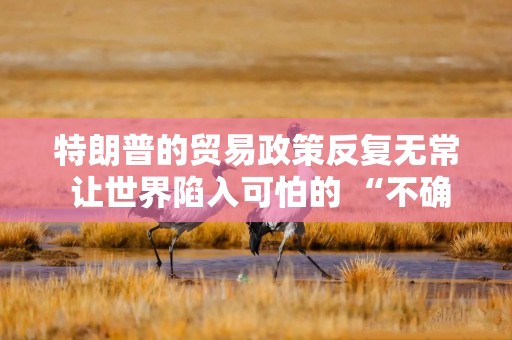 特朗普的贸易政策反复无常 让世界陷入可怕的 “不确定性” 之中