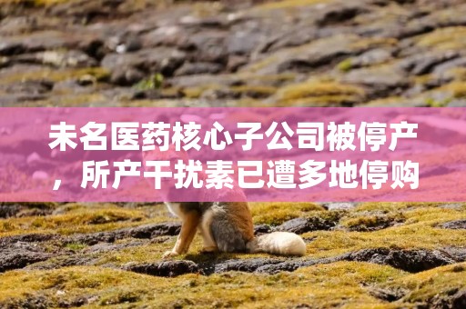 未名医药核心子公司被停产，所产干扰素已遭多地停购