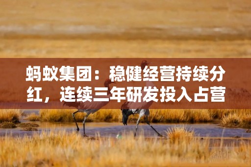 蚂蚁集团：稳健经营持续分红，连续三年研发投入占营收比重超10%