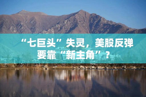 “七巨头”失灵，美股反弹要靠“新主角”？