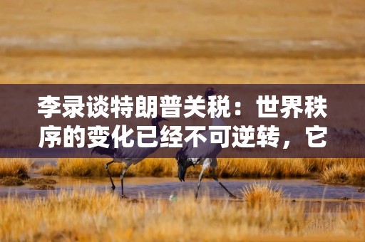 李录谈特朗普关税：世界秩序的变化已经不可逆转，它会演进到一种新的秩序上