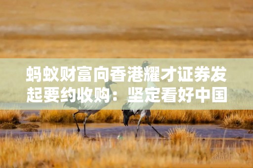蚂蚁财富向香港耀才证券发起要约收购：坚定看好中国和香港地区经济长期发展