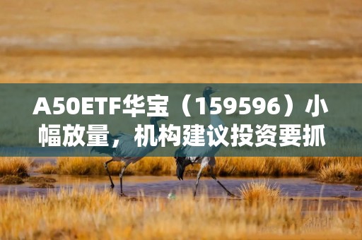 A50ETF华宝（159596）小幅放量，机构建议投资要抓牢“底线思维”下的确定性，配置四大主线