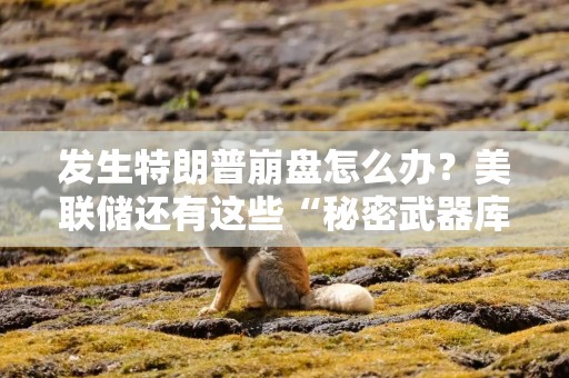 发生特朗普崩盘怎么办？美联储还有这些“秘密武器库”