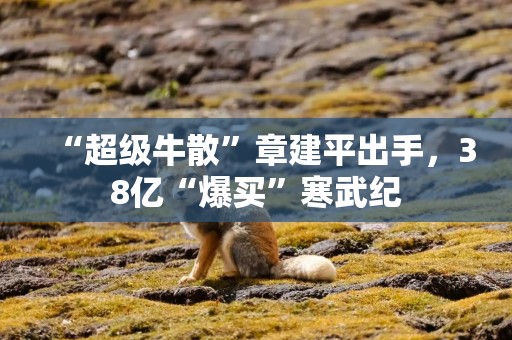 “超级牛散”章建平出手，38亿“爆买”寒武纪