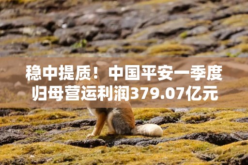 稳中提质！中国平安一季度归母营运利润379.07亿元，稳健增长2.4%