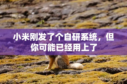 小米刚发了个自研系统，但你可能已经用上了