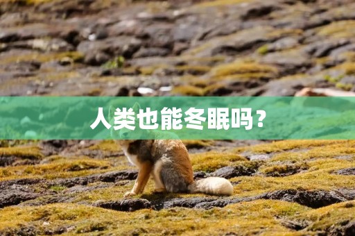人类也能冬眠吗？