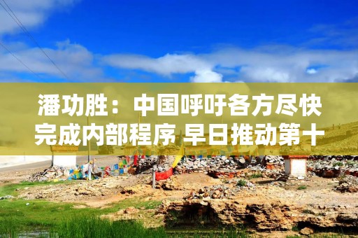 潘功胜：中国呼吁各方尽快完成内部程序 早日推动第十六次总检查承诺的份额增资生效