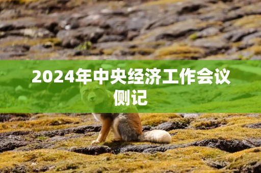 2024年中央经济工作会议侧记