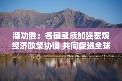 潘功胜：各国亟须加强宏观经济政策协调 共同促进全球经济金融稳定