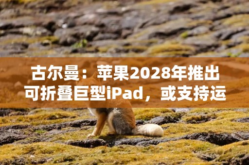 古尔曼：苹果2028年推出可折叠巨型iPad，或支持运行macOS应用