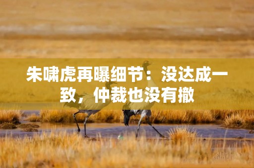 朱啸虎再曝细节：没达成一致，仲裁也没有撤