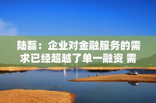 陆磊：企业对金融服务的需求已经超越了单一融资 需要投融资加风险管理、咨询的一体化金融解决方案