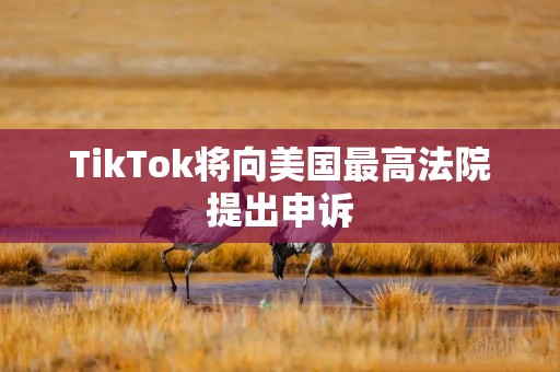 TikTok将向美国最高法院提出申诉