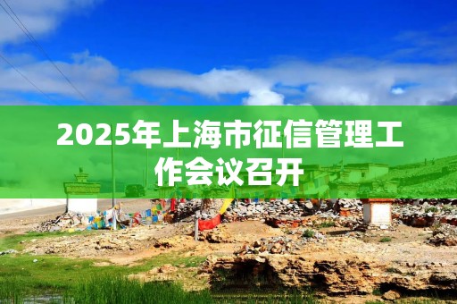 2025年上海市征信管理工作会议召开