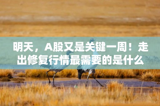 明天，A股又是关键一周！走出修复行情最需要的是什么？