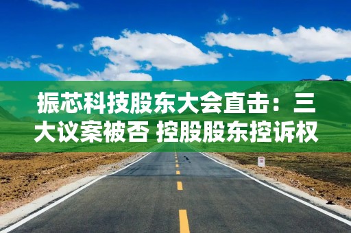 振芯科技股东大会直击：三大议案被否 控股股东控诉权利受阻