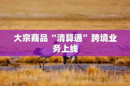 大宗商品“清算通”跨境业务上线