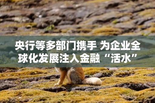 央行等多部门携手 为企业全球化发展注入金融“活水”
