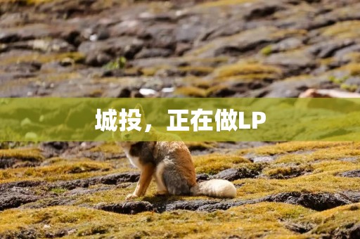 城投，正在做LP