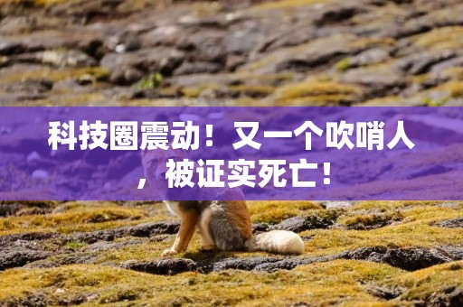 科技圈震动！又一个吹哨人，被证实死亡！