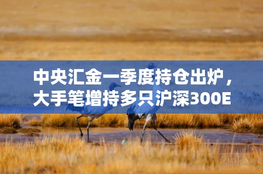中央汇金一季度持仓出炉，大手笔增持多只沪深300ETF
