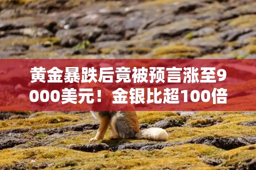 黄金暴跌后竟被预言涨至9000美元！金银比超100倍是“严重市场错误”？