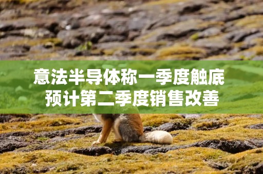 意法半导体称一季度触底 预计第二季度销售改善