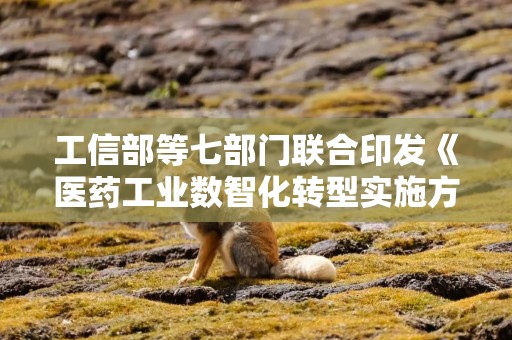 工信部等七部门联合印发《医药工业数智化转型实施方案（2025—2030年）》（全文）