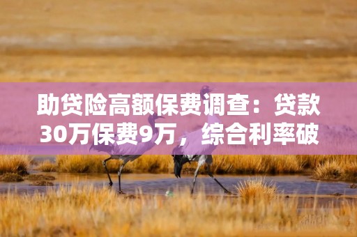 助贷险高额保费调查：贷款30万保费9万，综合利率破24%红线