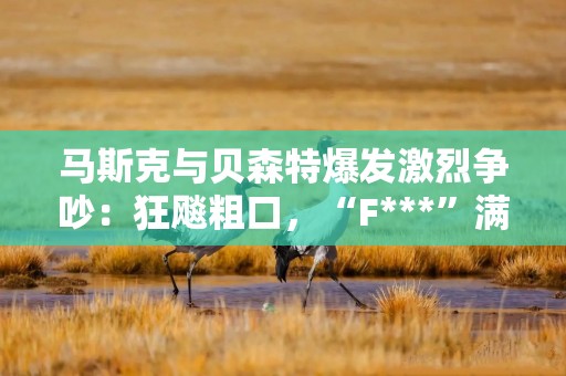 马斯克与贝森特爆发激烈争吵：狂飚粗口，“F***”满天飞