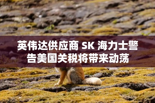 英伟达供应商 SK 海力士警告美国关税将带来动荡