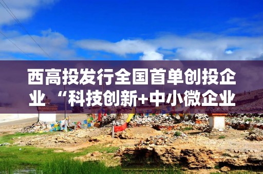 西高投发行全国首单创投企业 “科技创新+中小微企业支持”双品种公司债券